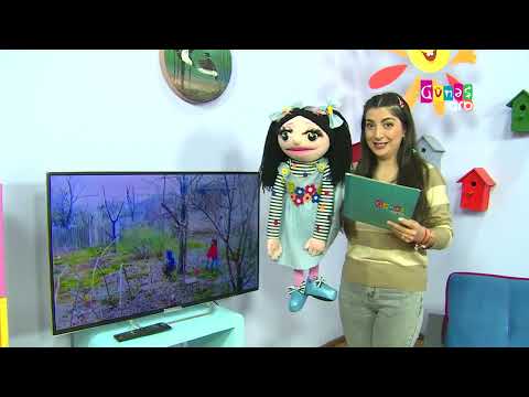 "Mərcangildə" - 15 aprel 2024-cü il