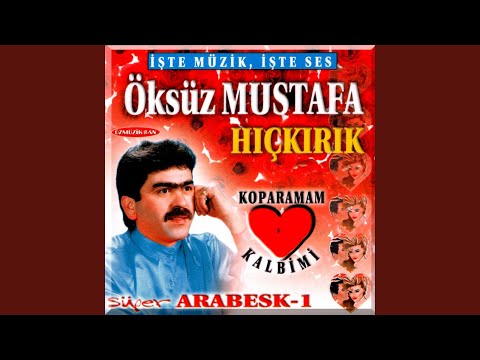 Ömrüm Seninle Geçsin