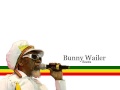 Bunny Wailer - Roots (Lyrics) 