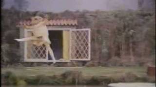 Beatrix Potter ballet - Jeremy Fisher