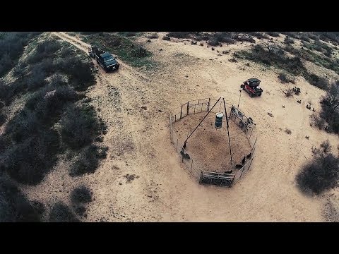 Hog Trapping With Your Cell Phone: "Muddy Ruckus" - The Management Advantage