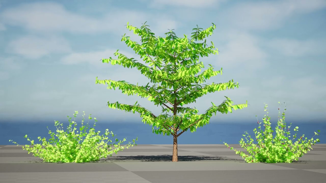 Flander Gooseberry Bush 3D Model