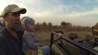 Download lagu We Go So You'll Know - Family Safari At Phinda Homestead mp3