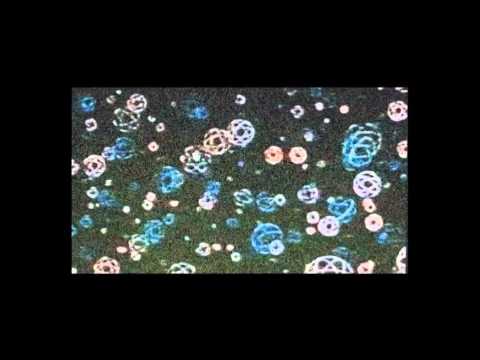 MANTIS / Tropic feat. Paul St. Hilaire