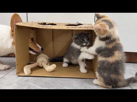 YouTube 썸네일