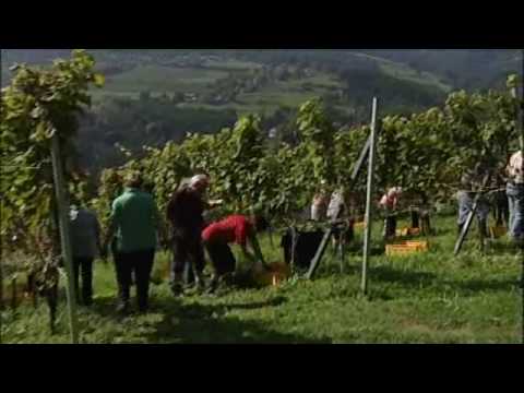 Schilcherland Stainz 3 min.wmv