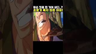 👉조로가 죽지 않은 이유! #onepiece #원피스
