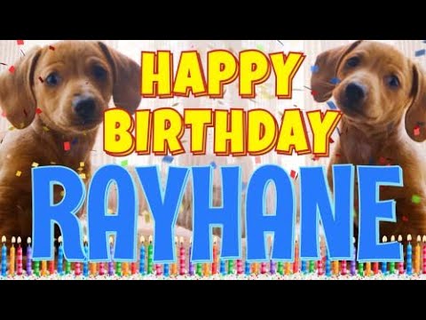 Happy Birthday Rayhane! ( Funny Talking Dogs ) What Is Free On My Birthday