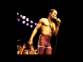 Fela Kuti - Custom Check Point [Live In Amsterdam, 1985]