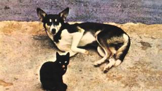 Antonio Adolfo - Brincadeira Em Mi Bemol