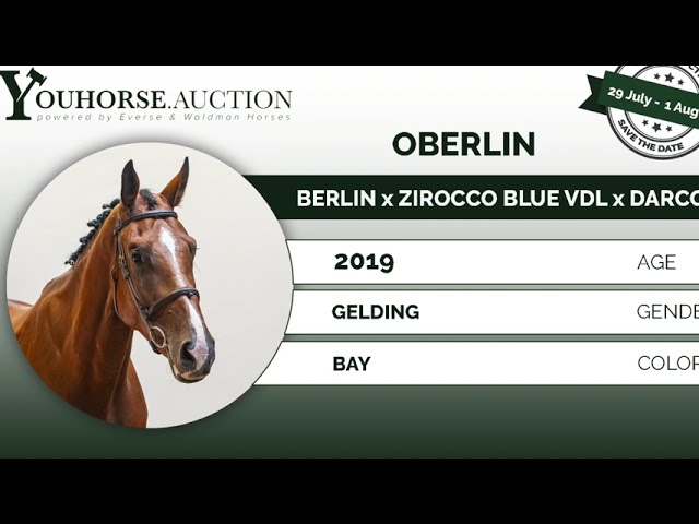 Oberlin @ show