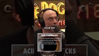 SCARY Acid TRIP - Joe Rogan Reacts #shorts #joerogan #joeroganexperience