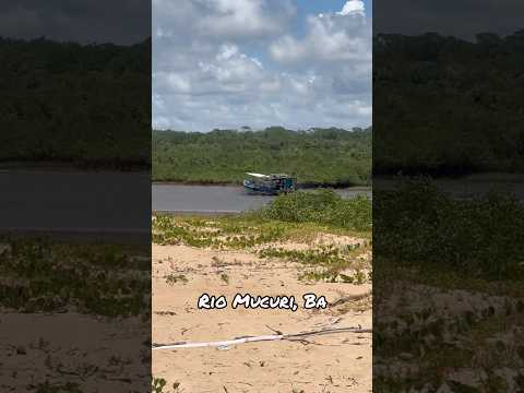 Barco navegando pelo rio Mucuri, BA #mucuriba #bahia #carnaval