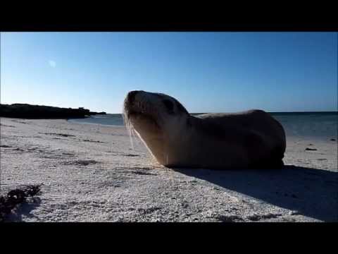 Ambrolhos Islands, Ambrolhos Archipel,Bahia,Brasilien