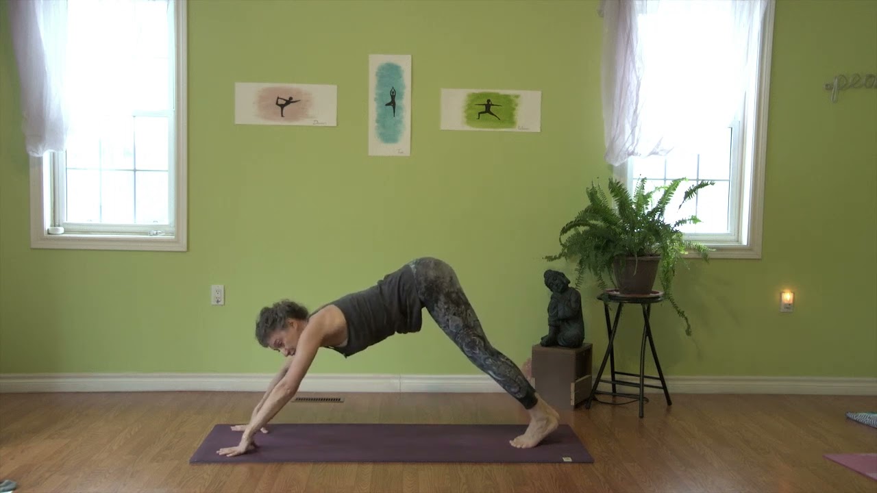 Sun Salutation - Angle 1