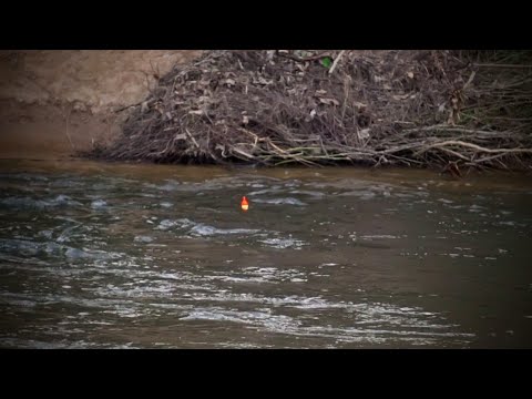 Steelhead Bobber Down Clips - April 2021