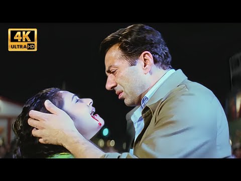 सनी देओल ने लिया अपनी बहन पर हुए हमले का बदला | Sunny Deol | Big Brother | Action Scenes