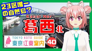 【どんな街？】東京江東案内 第40回 葛西（北側）編【東京城東エリア紹介】