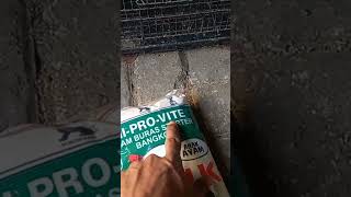 Download lagu perbedaan pakan 591 dan 594 mp3