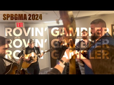 Rovin’ Gambler | SPBGMA 2024 Hallway Jam | Bluegrass Music