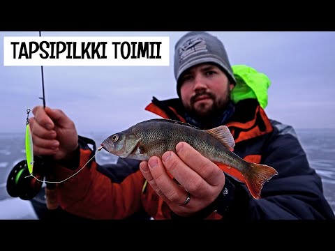 TAPSIPILKILLÄ TULEE KALAA - VÄINÖ SWEEPER JA KULTAMORRI