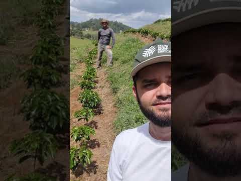 ATeG: cafeicultor de São Sebastião da Vargem Alegre é eleito Produtor Destaque da Regional Viçosa