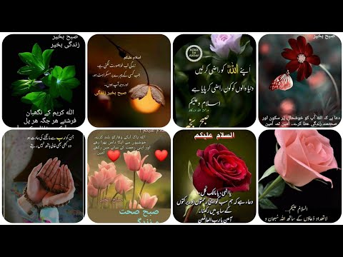 Islamic Dua || Good Morning Quotes || Islamic Poetry ||RA Dpz&Status