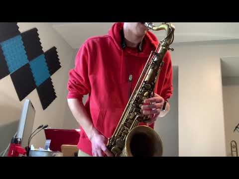 Cannonball Big Bell® Stone Series® (T5-BR) Brute Tenor Saxophone - WOW! image 26