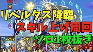 【パズドラ】リベルタス降臨【全属性必須】超地獄級ソロ１枚抜きスキル上げ周回改めて考えてみた編成