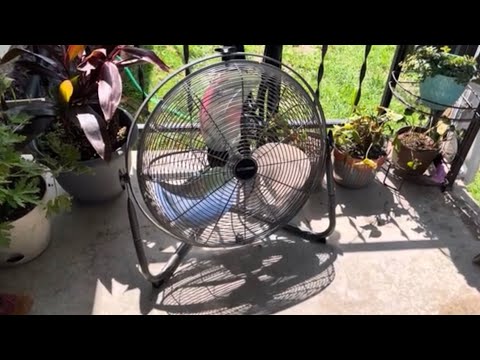 Masterforce 20 Orbital Floor Fan