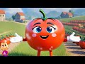 Lal Tamatar Made Majedar लाल टमाटर Popular Kids Rhymes And Kindergarten Videos
