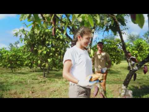 #entdeckedasgut in Ritter Sport 2024