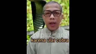 Download lagu kumpulan video lucu dan bucin dari Instagram mp3