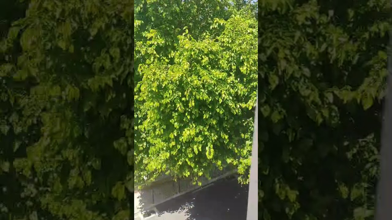 Vídeo do imóvel