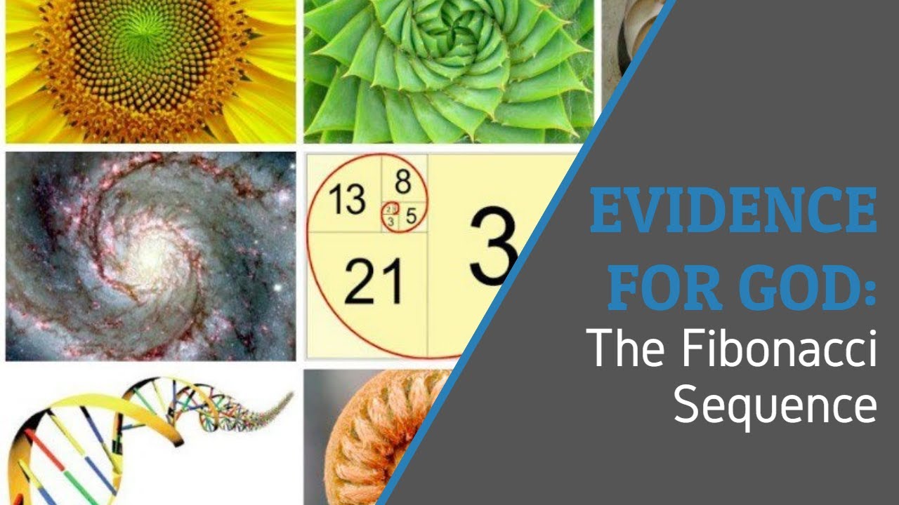 Evidence for God: The Fibonacci Sequence