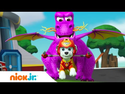 PAW Patrol | Die PAW Patrol-Welpen retten einen Drachen! 🐲  | Nick Jr. Deutschland