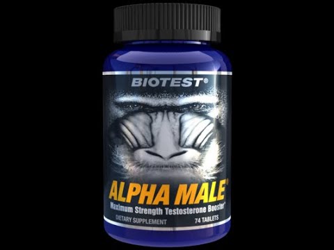 download lagu mp3 mp4 Biotest Alpha Male, download lagu Biotest Alpha Male gratis, unduh video klip Biotest Alpha Male