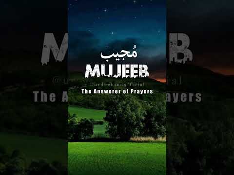 🌹Mujeeb🌹 | Name Meaning Status ||#urduehindofficial  #ytshorts #shorts #mujeeb #mujeeb