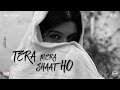 TERA MERA SHAAT HO EK KITAAB OFFICIAL VISUALIZER VIBE CHAPTERS