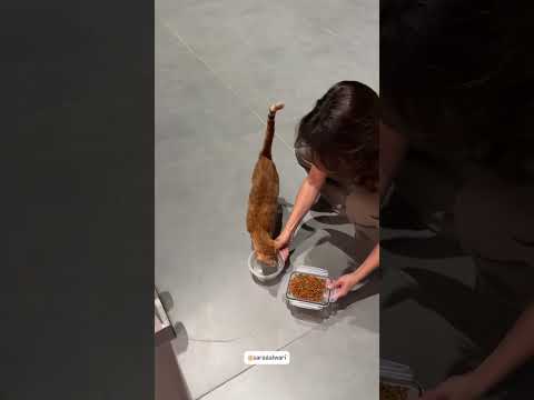 #غيث_مروان #اكسبلور #لايك #ترند #مستر_افوكادو🥑 #سارة_عصام_الورع #explore #love #trend