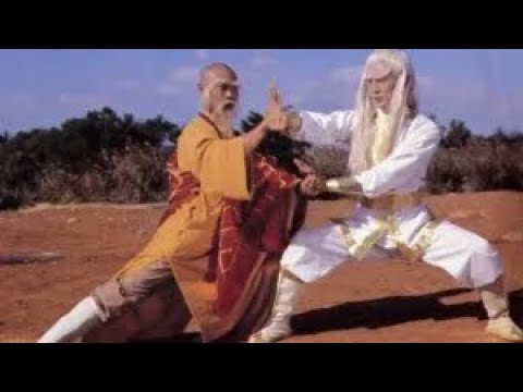Shaolin Kung fu VS wudang kung fu