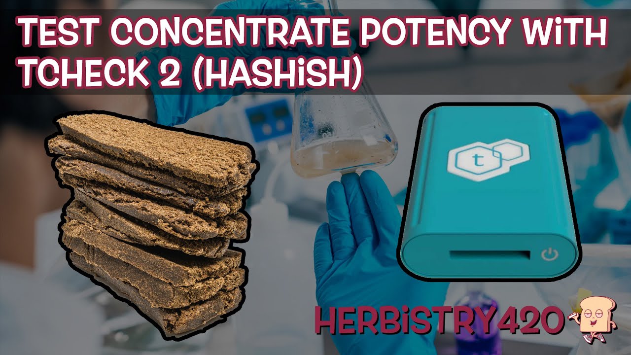 TCheck 2 Hashish Potency Test: 40% THC Result
