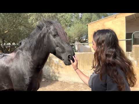 Fresno: Kastrationstermin abgesagt