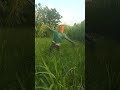 Mai Mati Ka Gudda Shorts Like Subscribe Trending Viral Song