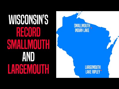 Old Records Never Die!