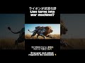 ライオンが武装化!? / Lion turns into war machine!?