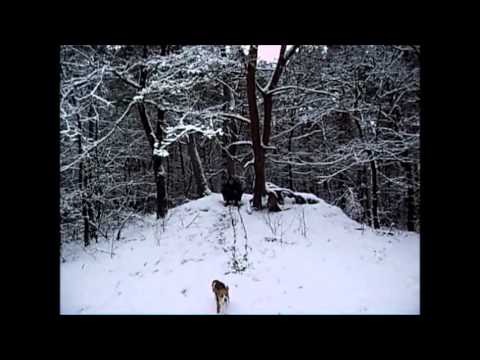 7 december 2012 puur genieten in de sneeuw