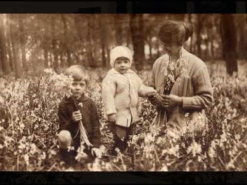 Dizzy Fingers - Savoy Orpheans - HMV B. 5105