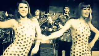 The Blues Magoos - We Ain&#39;t Got Nothin&#39; Yet (1967)