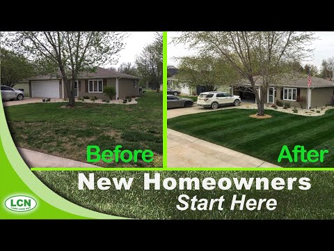 How-to Fix Your Ugly Lawn With This Single Lawn Application